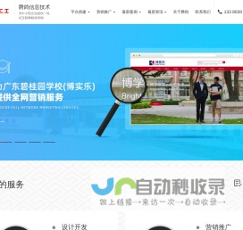 SEO优化【快速上排名】_网站优化_关键词优化_腾鸽信息